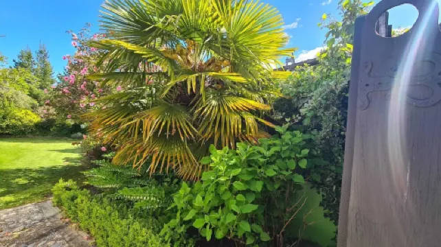 Where comfort meets the mountains—close to everything,spacious,and pet-friendly!