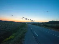 Elegant Villa in Sainte Valière
