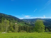 Chalet in La Bresse near Ski Slopes