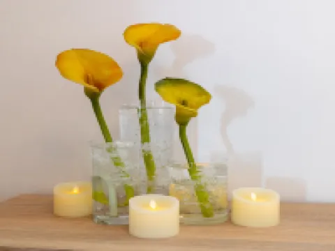 2 room apartment with hot tub