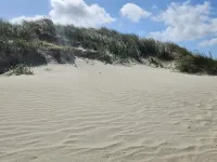 Luxury Retreat Near Beach - 2-Sterne