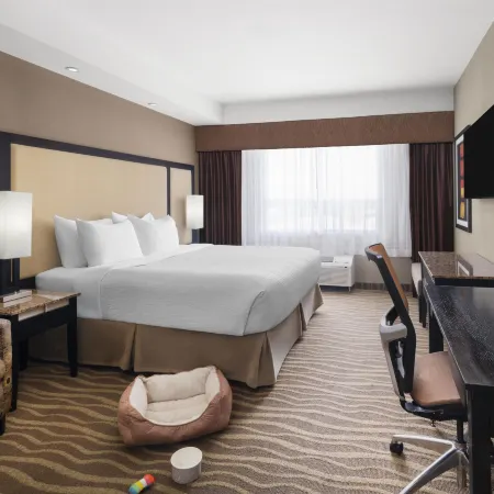 Best Western Premier Freeport Inn Calgary Airport Отели в г. Калгари
