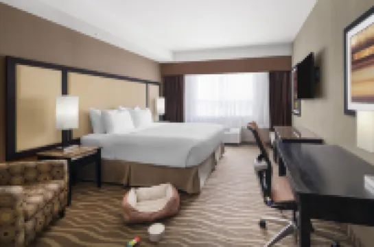 Best Western Premier Freeport Inn Calgary Airport