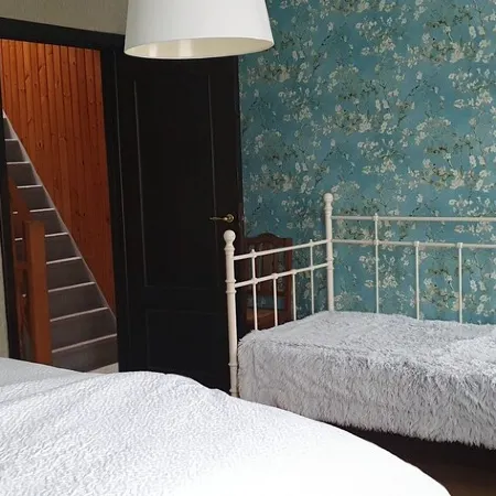 3 rooms, 2 bathrooms, near centre, free parking, free wifi, sunny garden