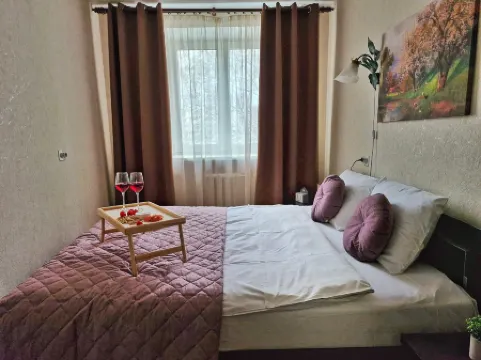 Apartment near Komarovsky Market