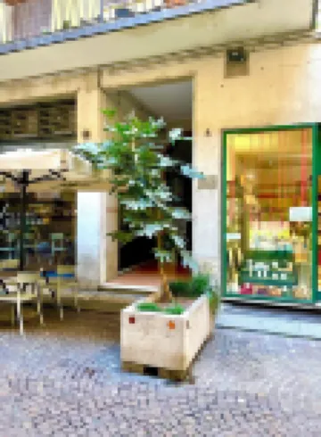 波莉西亞公寓酒店