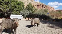 Javelina Heaven- Secluded-Private Trail-King Beds-Wildlife