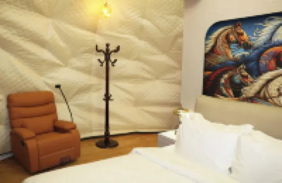 The Zukhara - A Luxury Glamping Dome Resort in Narkanda