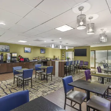 Best Western Plus McDonough Inn Suites