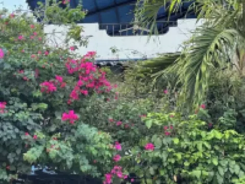 Cute 2bdrm Condo - Across from the beach Hoteles en Sardinal