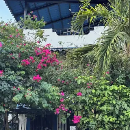 Cute 2bdrm Condo - Across from the beach