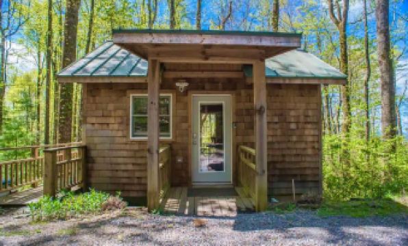 Cozy Guest Cabin Pet Friendly Secluded Peaceful