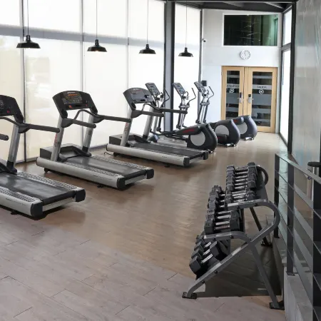 Crowne Plaza VILLAHERMOSA by IHG