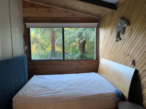 Cabin in the Forest, Cosy Couples Retreat