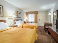Econo Lodge Hotels in Troy