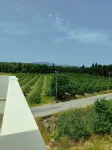 The Dalaman Suites & Pansiyon - Mountain view