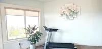 Legal Lakeview 2-bed 2-bath Entire Suite - Gym