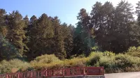 The Garden Suite has beautiful views of forests and pastures! It is dog friendly - Wifi