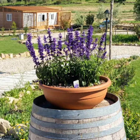 VioVillas Agriturismo Glamping Arezzo