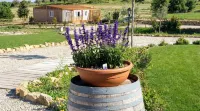 VioVillas Agriturismo Glamping Arezzo - Pool