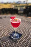Vogafjós Farm Resort - bar