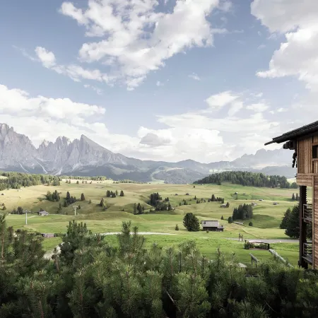 ADLER Alpe