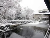 Iizaka Onsen Surikamitei Ohtori - Hot Springs