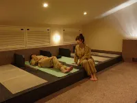 Shintamagawa Onsen - spa