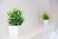 GuestReady - Trendy House - sul mare