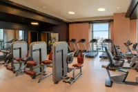 The St. Regis Cairo - ジム