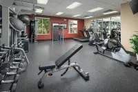 Hilton Garden Inn Chattanooga/Hamilton Place - Gym