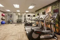 SpringHill Suites Paso Robles Atascadero - Træningscentre