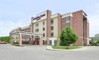 SpringHill Suites Detroit Metro Airport Romulus