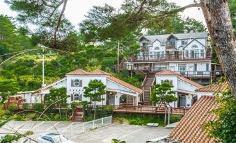 Hoengseong Dream Tree Pension