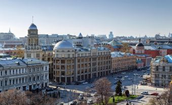 Wellion Baumansky Hotel