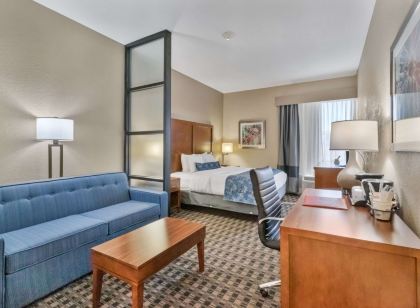 Best Western Plus Greenville I-385 Inn  Suites