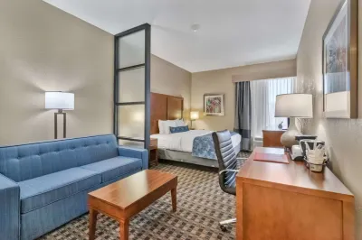 Best Western Plus Greenville I-385 Inn  Suites