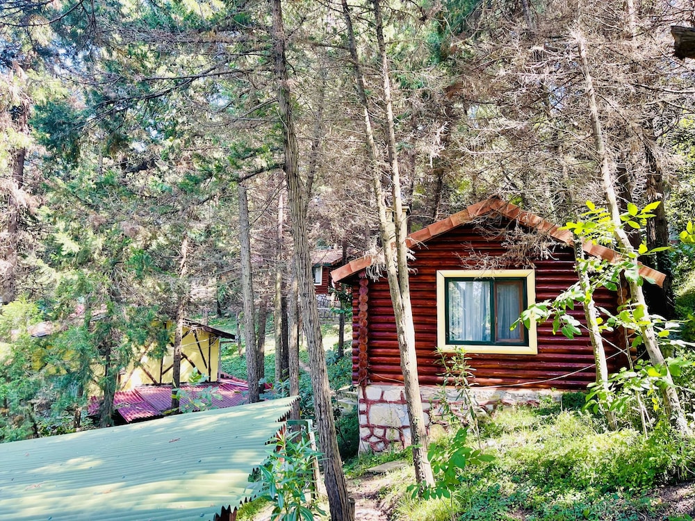 Ağva Orman Evleri Forest Lodge (Agva Orman Evleri Forest Lodge)