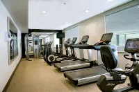 Embassy Suites by Hilton Chicago O'Hare Rosemont - Fitnessstudio