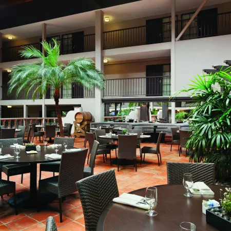 Casa Mani Resort Napa Valley, Curio Collection by Hilton