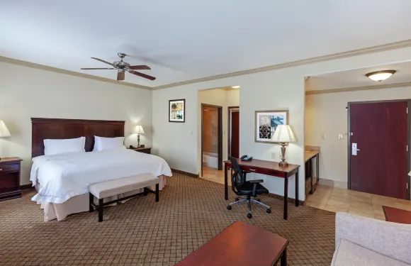 希爾頓歡朋套房酒店-加爾維斯頓