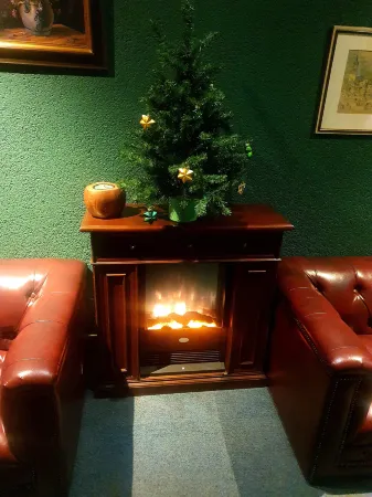 Hotel VI Vintage Отели в г. Дитцинген