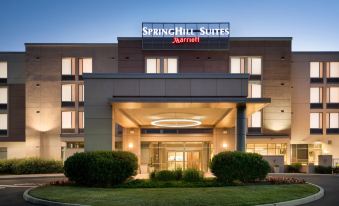 SpringHill Suites Ewing Princeton South