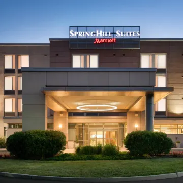 SpringHill Suites Ewing Princeton South Отели в г. Юинг Тауншип