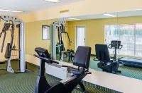 Quality Inn Vicksburg - Gym