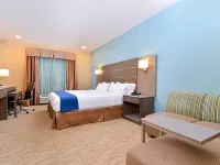 Holiday Inn Express & Suites Schulenburg by IHG Hotels in Fayette County