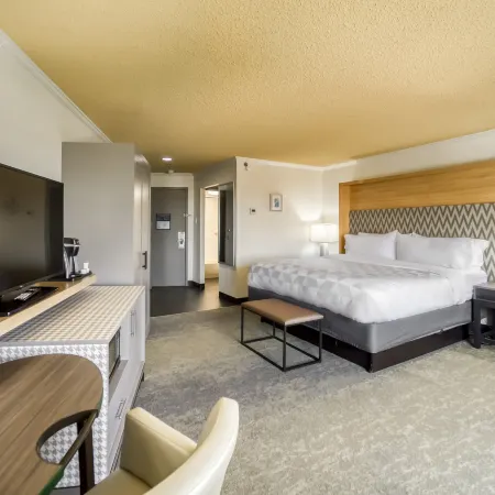 Holiday Inn MOBILE-DWTN/HIST. DISTRICT by IHG