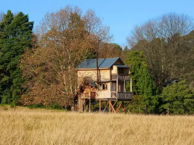 Sycamore Avenue Treehouses & Cottages Accommodation