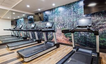 Best Western Plus Lockport Hotel - Housity
