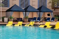 New York-New York Hotel & Casino - Rooftop Pools